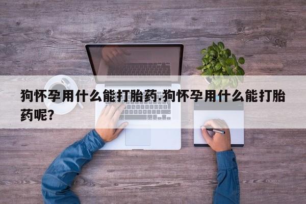 求买打胎药微信号狗怀孕用什么能打胎药.狗怀孕用什么能打胎药呢？