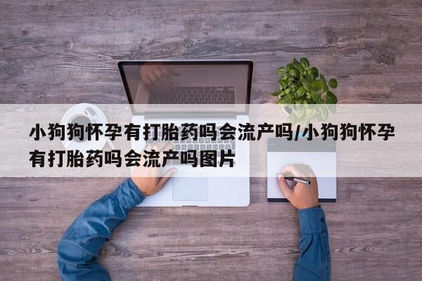 求买打胎药微信号小狗狗怀孕有打胎药吗会流产吗/小狗狗怀孕有打胎药吗会流产吗图片