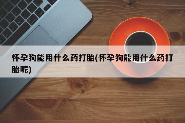求买打胎药微信号怀孕狗能用什么药打胎(怀孕狗能用什么药打胎呢)
